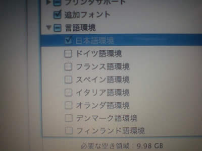 日本語環境のみを選択する