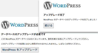 WordPress Upgrade ScreenShot